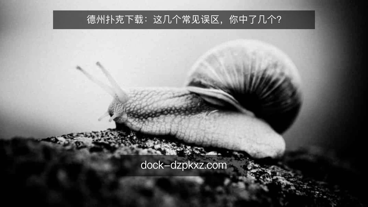 德州扑克下载：这几个常见误区，你中了几个？